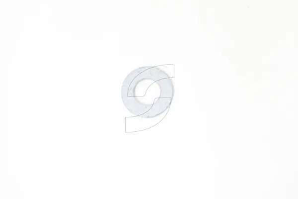 Ferrari 14496624 WASHER