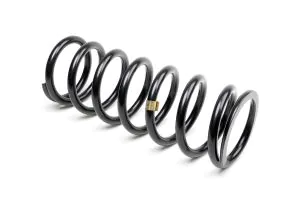 Maserati 163653 SUSPENSION SPRING