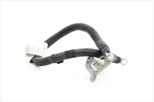 Ferrari - Used Parts 274898-Q2 NEGATIVE BATTERY CABLE