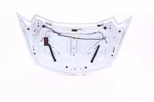 Lamborghini - Used Parts 470823021E-Q2 BONNET