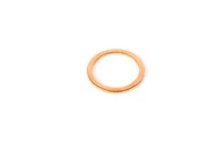 Maserati 10263460 GASKET 22- 28X 1.5
