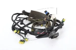 Ferrari - Used Parts 228251-Q2 DOOR CONNECTION CABLES