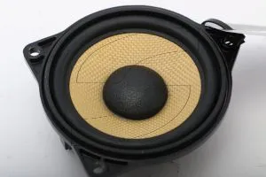 Maserati - Used Parts 670002145-A1 MIDWOOFER