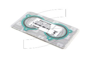 Ferrari 177055 GASKET FOR REAR COVER HEAD