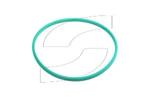Ferrari 181681 GASKET.