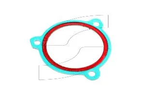 Ferrari 182127 COVER GASKET.