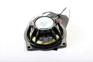 Maserati - Used Parts 670002145-Q2 MID-WOOFER LOUDSPEAKER