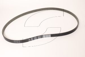 Ferrari 235315 BELT