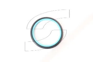 Ferrari 172972 SEAL RING
