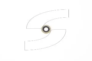 Ferrari 259638 GASKET