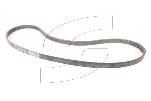 Ferrari 251220 6-RIB CONTROL BELT