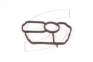 Ferrari 270805 GASKET