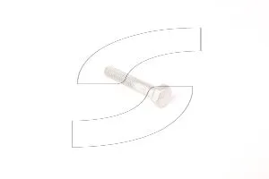 Ferrari 10903024 SCREW